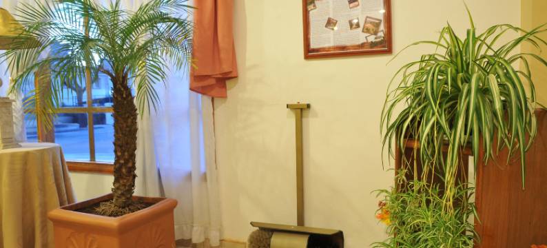 萨勒诺酒店(Hotel Salerno)图片