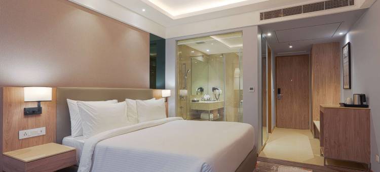 雅佳的丽柏酒店(Hotel Park Inn by Radisson Ayodhya)图片