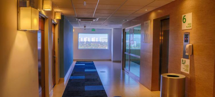 阿卡普尔科拉岛假日酒店(Holiday Inn Acapulco la Isla, an IHG Hotel)图片