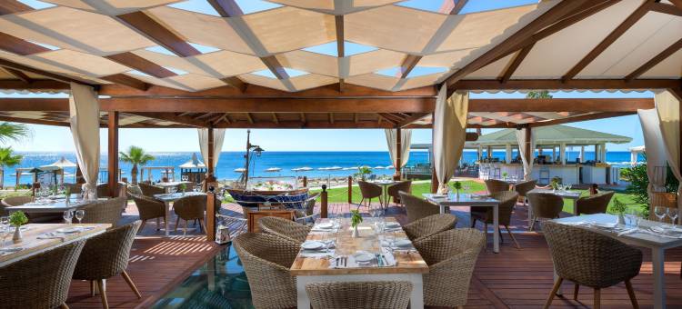 罗德斯帕拉蒂姆休闲及健康酒店(Rodos Palladium Leisure & Wellness)图片