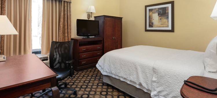 希尔顿欢朋酒店-斯普林菲尔德(Hampton Inn Springfield)图片