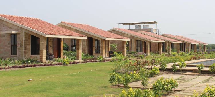 The Blackbuck Trails Velavadar图片