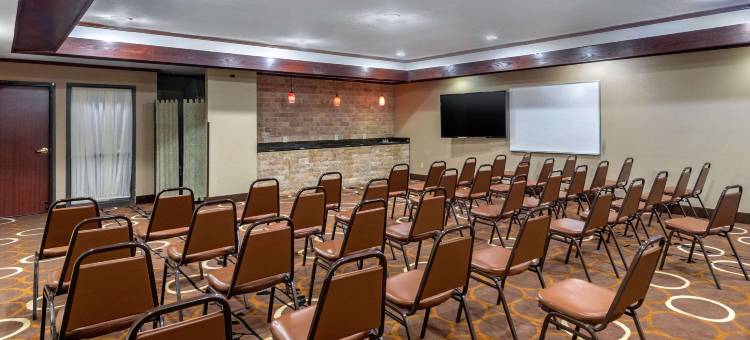 艾迪生-达拉斯品质套房酒店(Quality Suites Addison-Dallas)图片