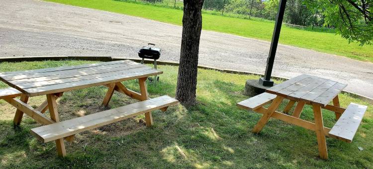 泰孔德罗加温德姆速8酒店(Super 8 by Wyndham Ticonderoga)图片