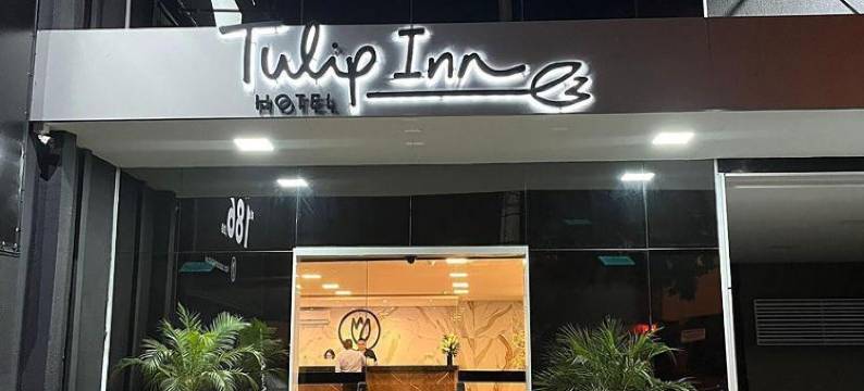 索罗卡巴郁金香酒店(ESuites Sorocaba)图片