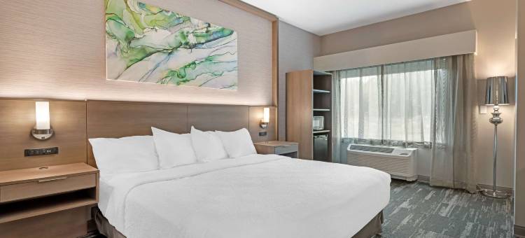 Best Western Plus Grand Rapids MN图片