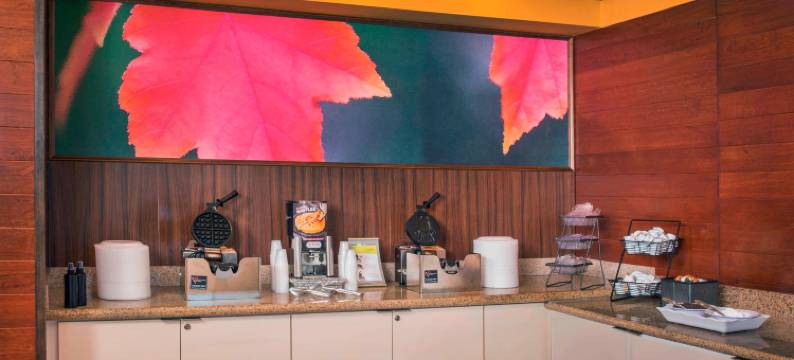 威廉斯堡万枫酒店及套房(Fairfield Inn & Suites Williamsburg)图片