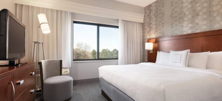 夏洛特机场北部万怡酒店(Courtyard Charlotte Airport North)图片