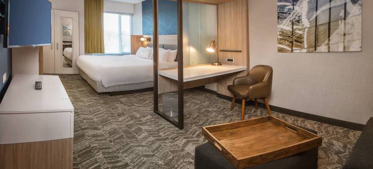 盖恩斯维尔干草市场SpringHill Suites酒店(SpringHill Suites Gainesville Haymarket)图片