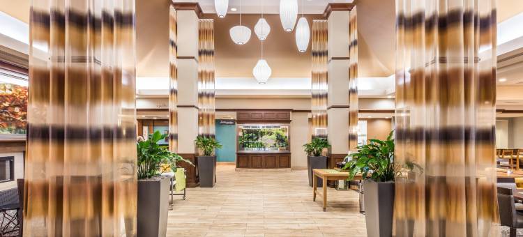 盖恩斯维尔希尔顿花园酒店(Hilton Garden Inn Gainesville)图片