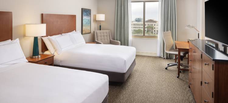 圣彼得堡卡里永希尔顿酒店(Hilton St. Petersburg Carillon Park)图片