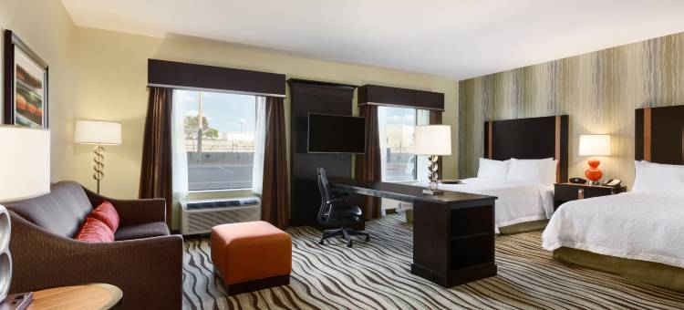 埃尔帕索东欢朋套房酒店(Hampton Inn & Suites El Paso-East)图片