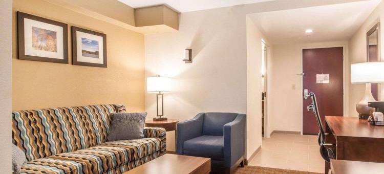 布拉特尔伯勒 I-91 舒适套房酒店(Comfort Inn & Suites Brattleboro I-91)图片