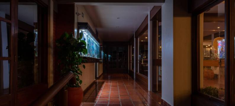 伊瓜苏酒店(Hotel Colonial Iguaçu)图片