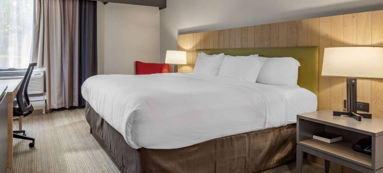 利物浦舒适酒店及套房-锡拉丘兹北(Comfort Inn & Suites Liverpool - Syracuse North)图片