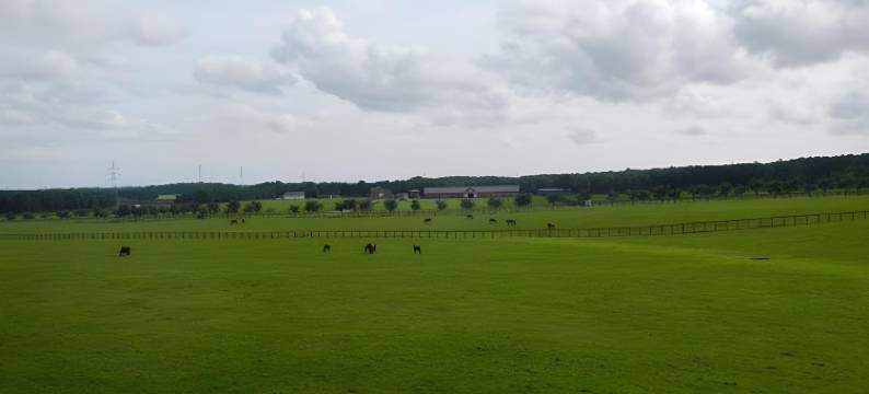 中野摩托商务酒店(Business Hotel Motonakano)图片