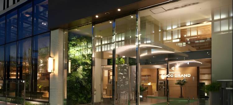 高崎可可大酒店(Hotel Coco Grand)图片