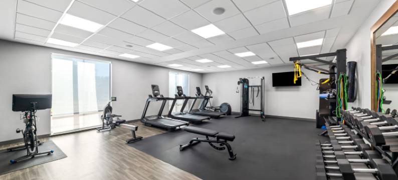 谢尔曼希尔顿欢朋套房酒店(Hampton Inn & Suites by Hilton Sherman)图片
