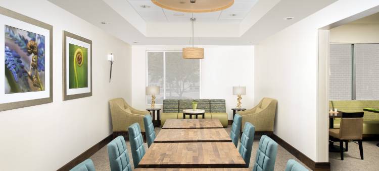 圣安东尼奥机场南希尔顿花园酒店(Hilton Garden Inn San Antonio Airport South, TX)图片