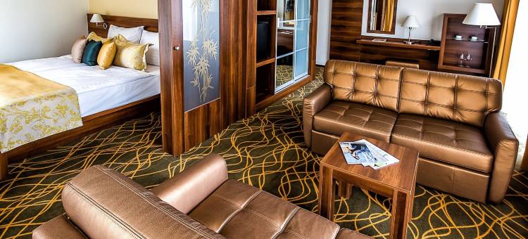 赫维兹邦维塔尔酒店-限成人入住(Bonvital Hotel Hévíz Superior Adults Only)图片