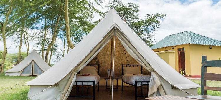 非洲Safari Serengeti Ikoma(Africa Safari Serengeti Ikoma Camping)图片