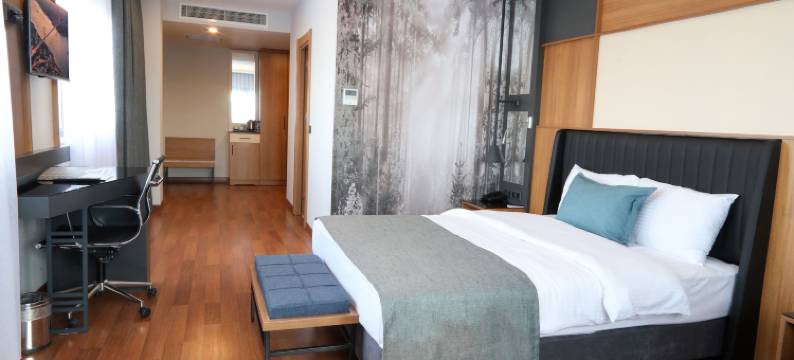 艾波伊斯特酒店(Expoist Hotel)图片