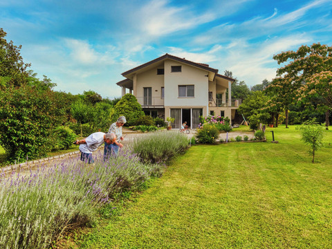 阿格里雷莱斯拉博拉
