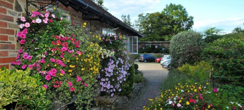 罗登华尔酒店(Random Hall)图片