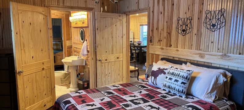 Bellamys滑雪屋(Mountain View Lodge)图片