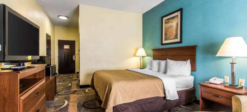 孟菲斯东凯艺套房酒店(Quality Inn & Suites Memphis East)图片