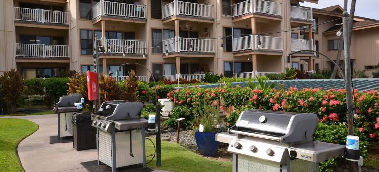 海洋村(Sea Village)图片