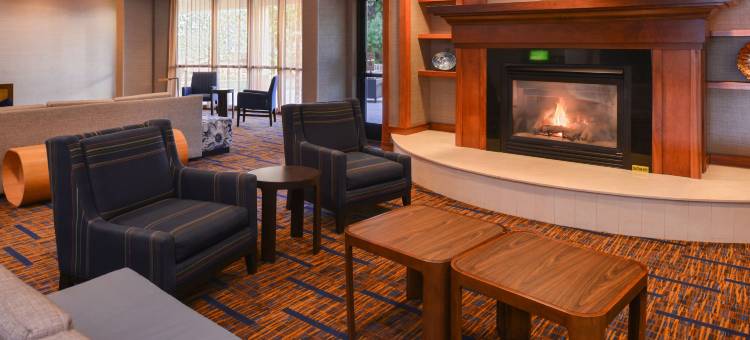 夏洛特加斯托尼亚万怡酒店(Courtyard by Marriott Charlotte Gastonia)图片