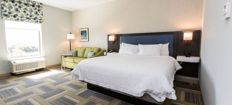 雪城华美达酒店(Hampton Inn & Suites Syracuse-North (Airport Area))图片