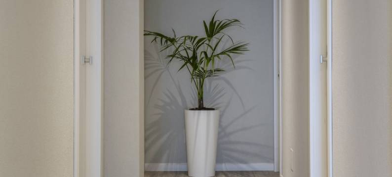 拉斐尔酒店(Hotel Raffaello)图片