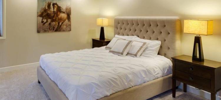 Daiwa Avenue 37酒店(Hotel Daiwa Avenue 37)图片