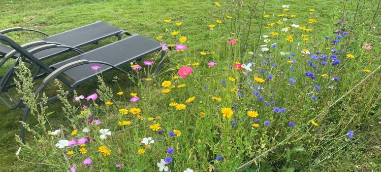 如家般的水疗与公寓，带私人泳池(Private Pool & Nordic Sauna Retreat - Porsgrunn)图片