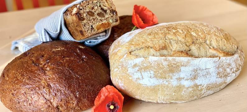 圣克莱门斯酒店(Hotell St Clemens)图片