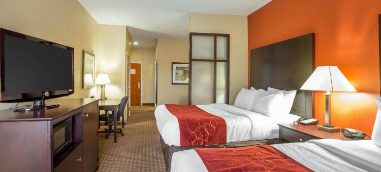 舒适套房酒店-黄金群岛(Comfort Suites Golden Isles Gateway)图片