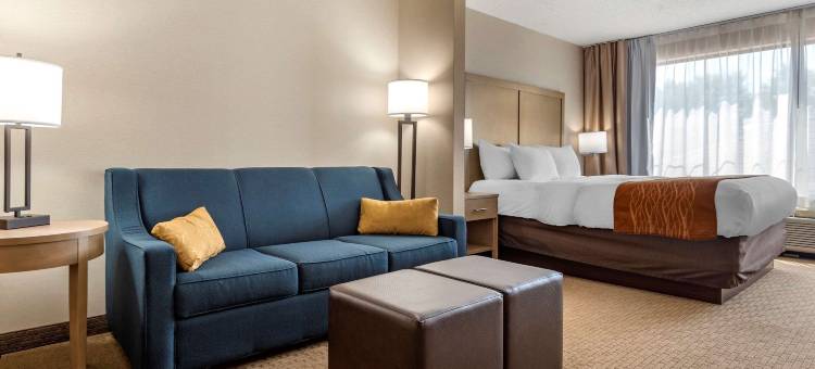 福明顿舒适酒店及套房(Comfort Inn & Suites Farmington - Victor)图片