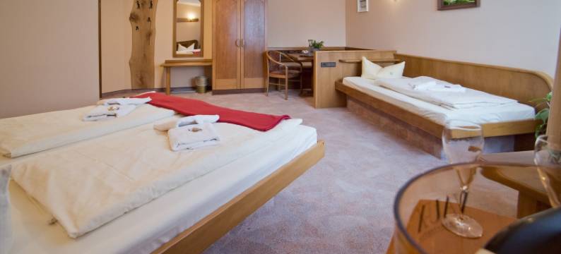 海尔伯格尔霍夫瑞恩提酒店(Rennsteighotel Herrnberger Hof)图片