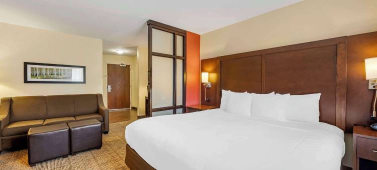 林肯东舒适套房酒店-购物区(Comfort Suites East Lincoln - Mall Area)图片