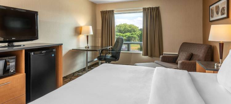 彭布罗克舒适酒店(Comfort Inn)图片