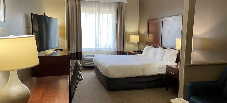 凯艺套房酒店(Quality Suites)图片