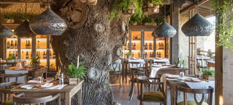 博尔戈圣彼得酒店(Borgo Santo Pietro)图片