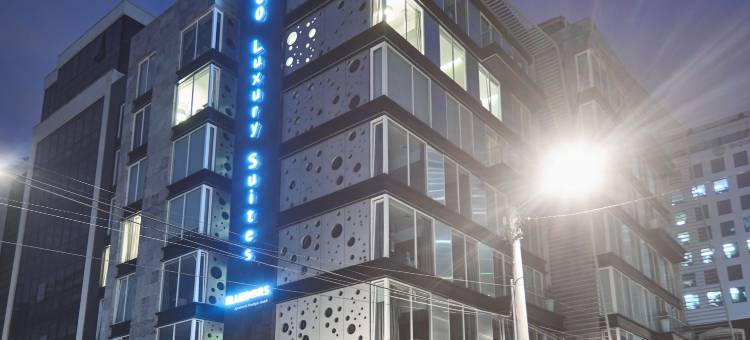 100 奢华套房 - 优选酒店(100 Luxury Suites)图片