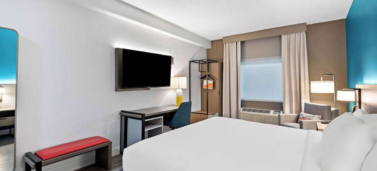 舒适酒店及套房(Comfort Inn & Suites)图片