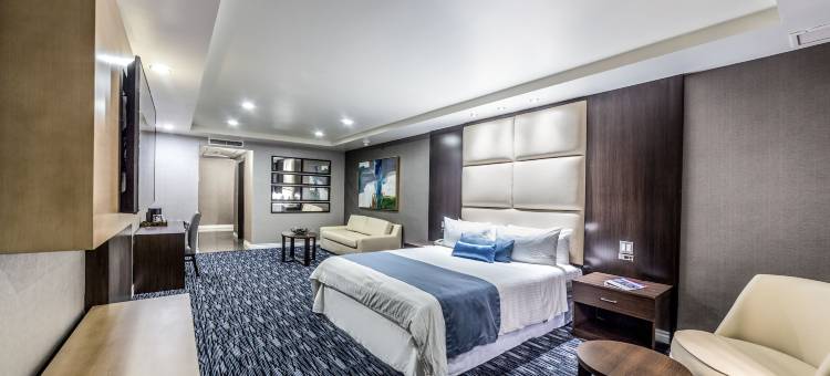 普韦布洛阿米戈广场娱乐场酒店(Pueblo Amigo Hotel Plaza y Casino)图片