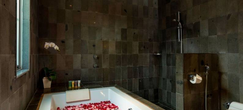 巴厘岛水明漾别墅及水疗中心(Bali Island Villas and Spa Seminyak)图片