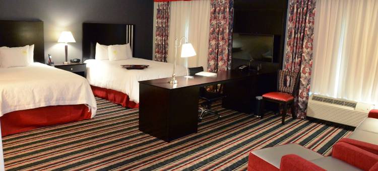 奥尔巴尼购物中心欢朋套房酒店(Hampton Inn & Suites Albany at Albany Mall)图片