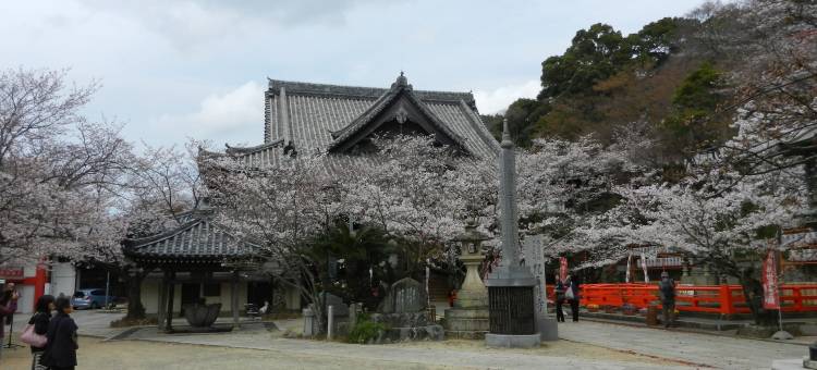 和歌山第1富士酒店(Wakayama Daiichi Fuji Hotel)图片
